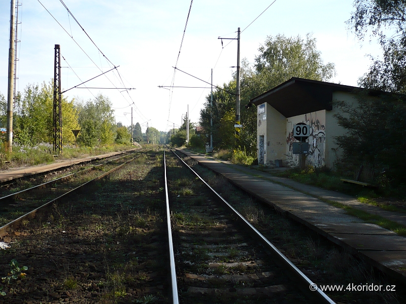 P1000808.JPG - Pyšely