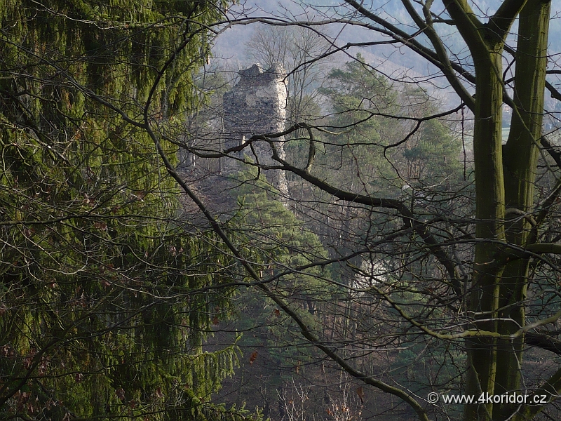 P1010004.JPG - Zřícenina hradu nad řekou je vidět i z trati na Hvězdonice na druhém břehu