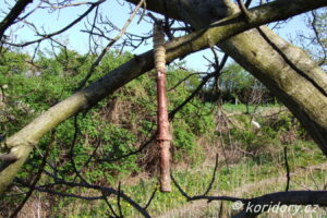 Traťový úsek Říčany - Uhříněves