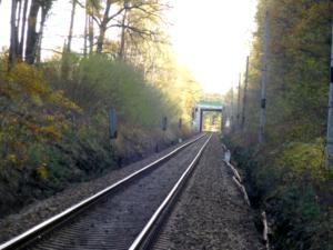 Soběslav - Doubí 7.11.2019