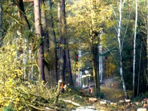 Soběslav - Doubí 7.11.2019