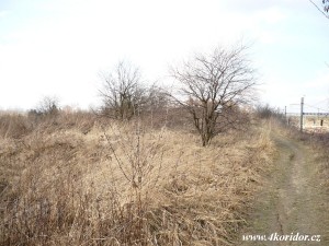 Tábor - Chotoviny 2.3.2014