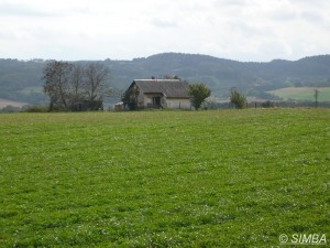 Wh a hradla mezi Olbramovicemi a Bystřicí u Benešova