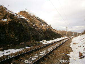 Heřmaničky - Votice